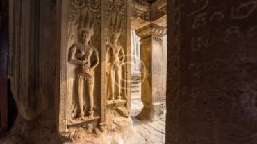 Understand Concepts with the Orthodox Interpretation