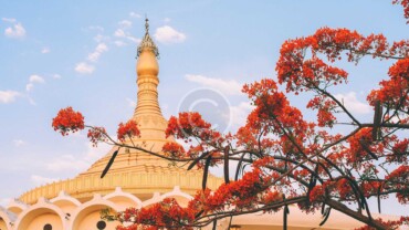 How to Program Yourself for Happiness