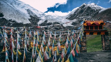 Acceptance and Suffering in Buddhism