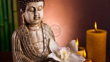 The Wisdon of Buddha in a Few Words